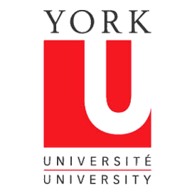 york-university