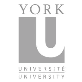 Universidad de York